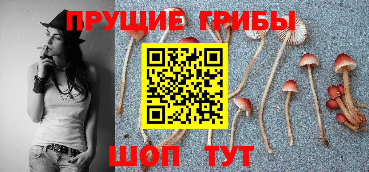 Сызрань  Псилоцибиновые грибы мицелий  Вход с VPN 